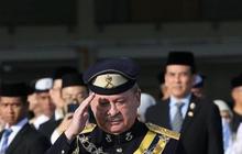 Fakta Tak Banyak Orang Tahu soal Raja Baru Malaysia, Belajar Navigasi Pesawat Usia 5 Tahun