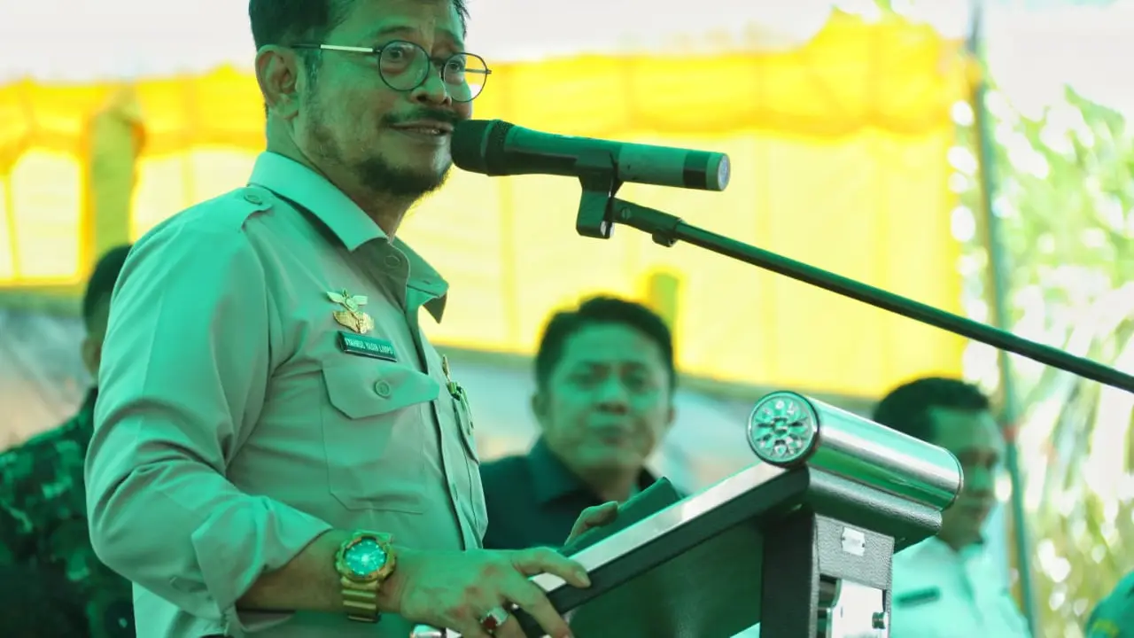 Petani OKI Siap Panen Raya 26 Ribu Ha Tanaman Padi di Tengah Pandemi Corona