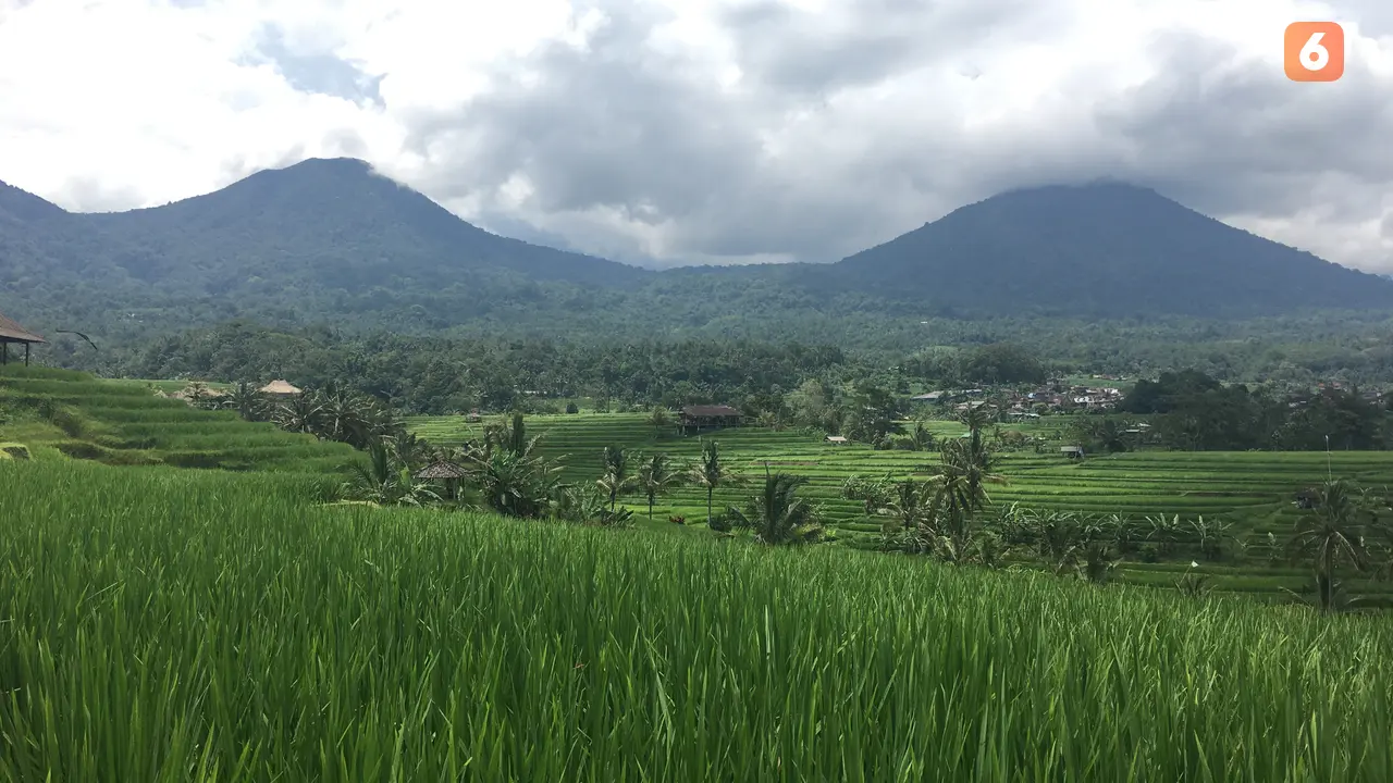 Desa Wisata Jatiluwih