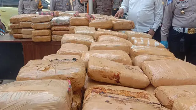 Warga Semarang Bawa Truk Berisi Ratusan Kilogram Ganja ke Empat Lawang