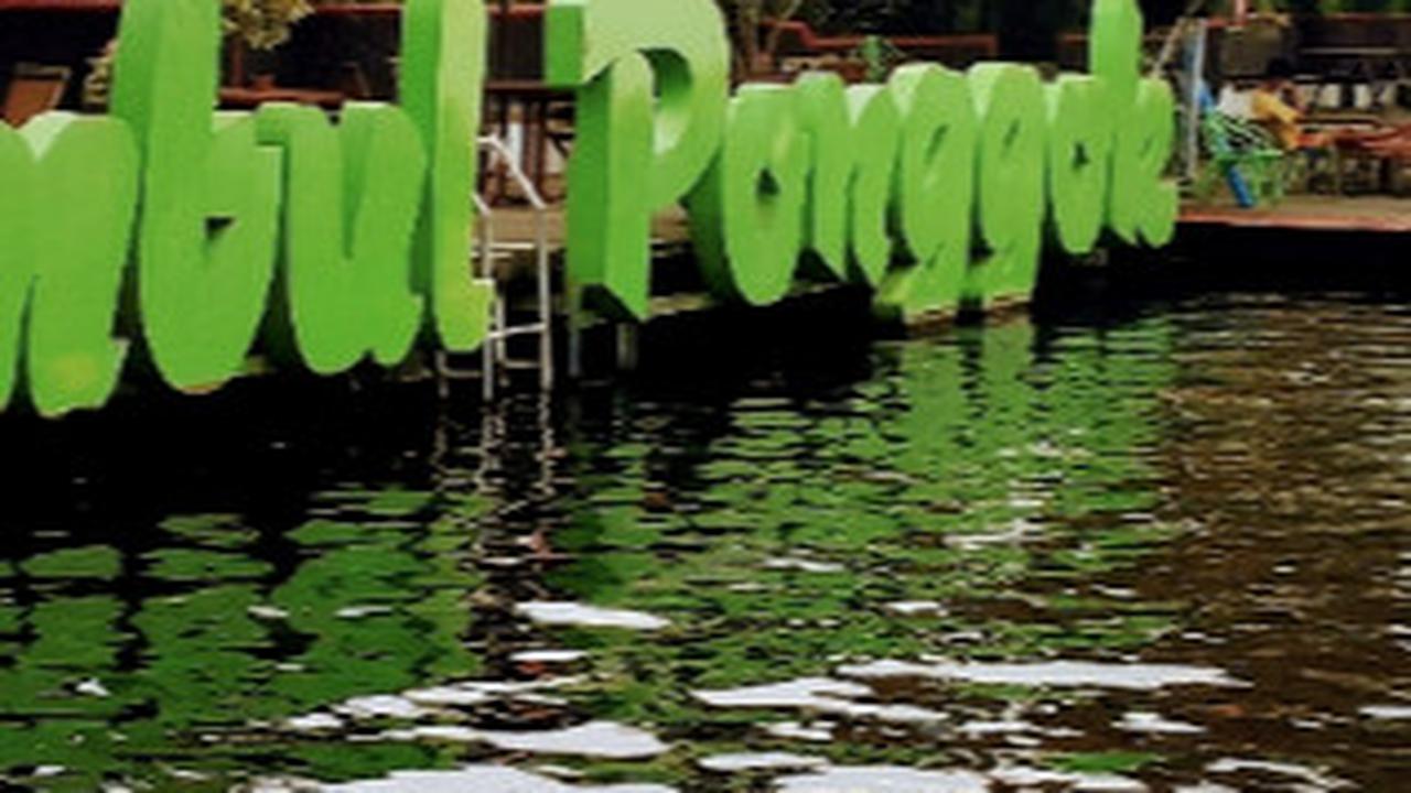 6. Umbul Ponggok<br>