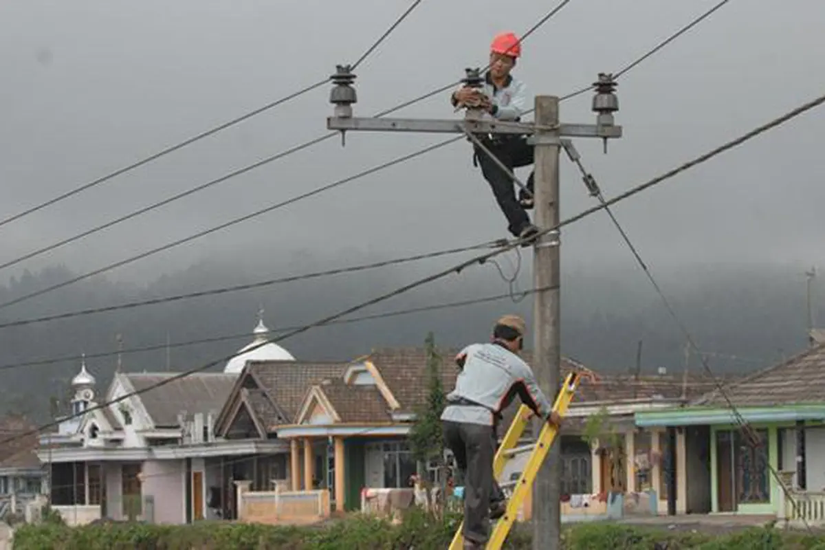 Kabel Listrik Terkelupas, PLN Harus Segera Bertanggung Jawab!