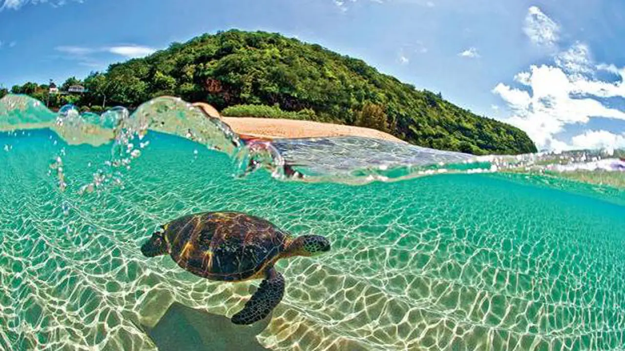 Hawaii