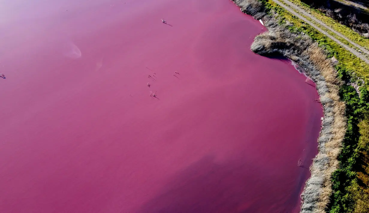 Pemandangan udara dari laguna yang berubah menjadi merah muda karena limbah industri perikanan, di provinsi Patagonian, Chubut, Argentina, pada 23 Juli 2021. Beberapa perusahaan mengaku diizinkan untuk membuang limbah ke laguna tersebut. (DANIEL FELDMAN / AFP)