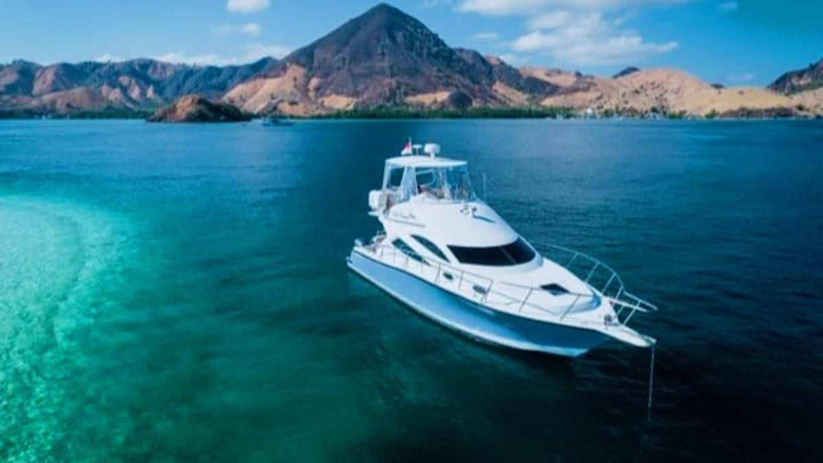 Penjelasan Taman Nasional Komodo soal Protes Puluhan Wisatawan Asing Usai Ditolak Masuk Petugas