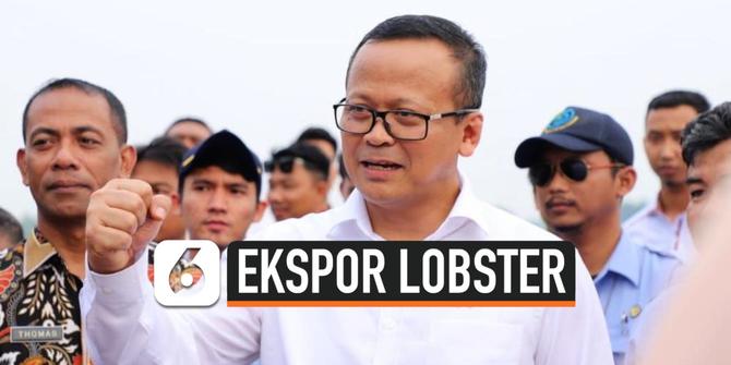 VIDEO: Edhy Prabowo Cabut Larangan Ekspor Benih Lobster Zaman Susi