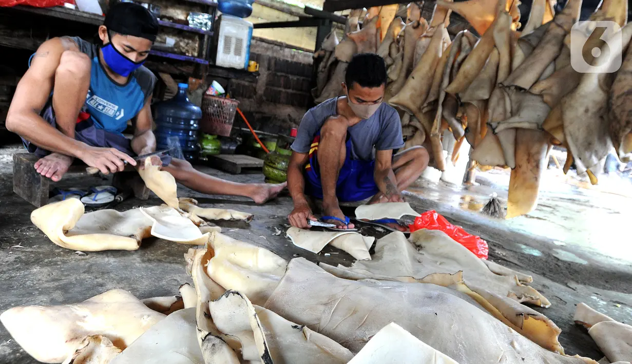 Aktivitas pekerja memproduksi kerupuk kulit di Pabrik Krupuk Kulit Bambang, Depok, Rabu (17/2/2021). Pemilik usaha menurunkan jumlah produksi kerupuk kulit mentah siap goreng dari 1 ton menjadi 500 kg per hari akibat pandemi COVID-19 dengan harga jual Rp90 ribu per kilogram (merdeka.com/Arie Basuki)