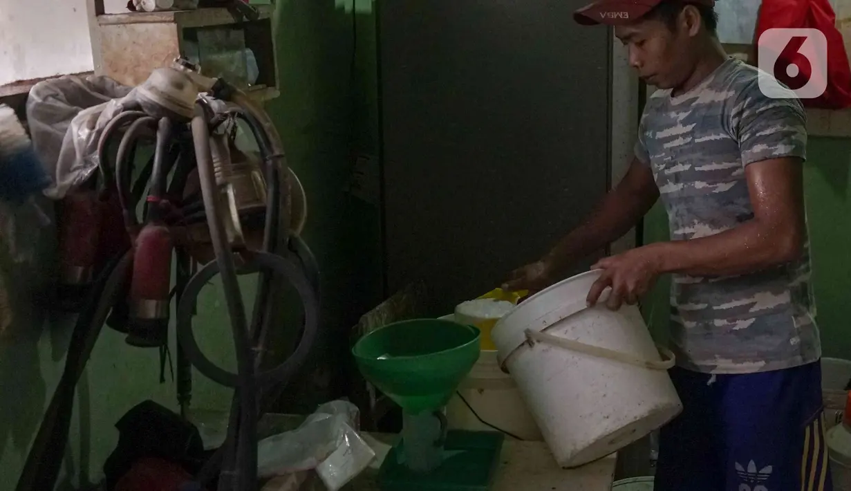 Pekerja menyaring susu sapi perah di salah satu peternakan sapi perah kawasan Duren Tiga, Jakarta, Rabu (25/5/2022). Perternakan sapi perah di tempat tersebut selalu rutin menjaga kesehatan sapi dengan mendatangkan dokter. Dan saat ini harga susu dijual Rp 11.000 per liter. (Liputan6.com/Herman Zakharia)