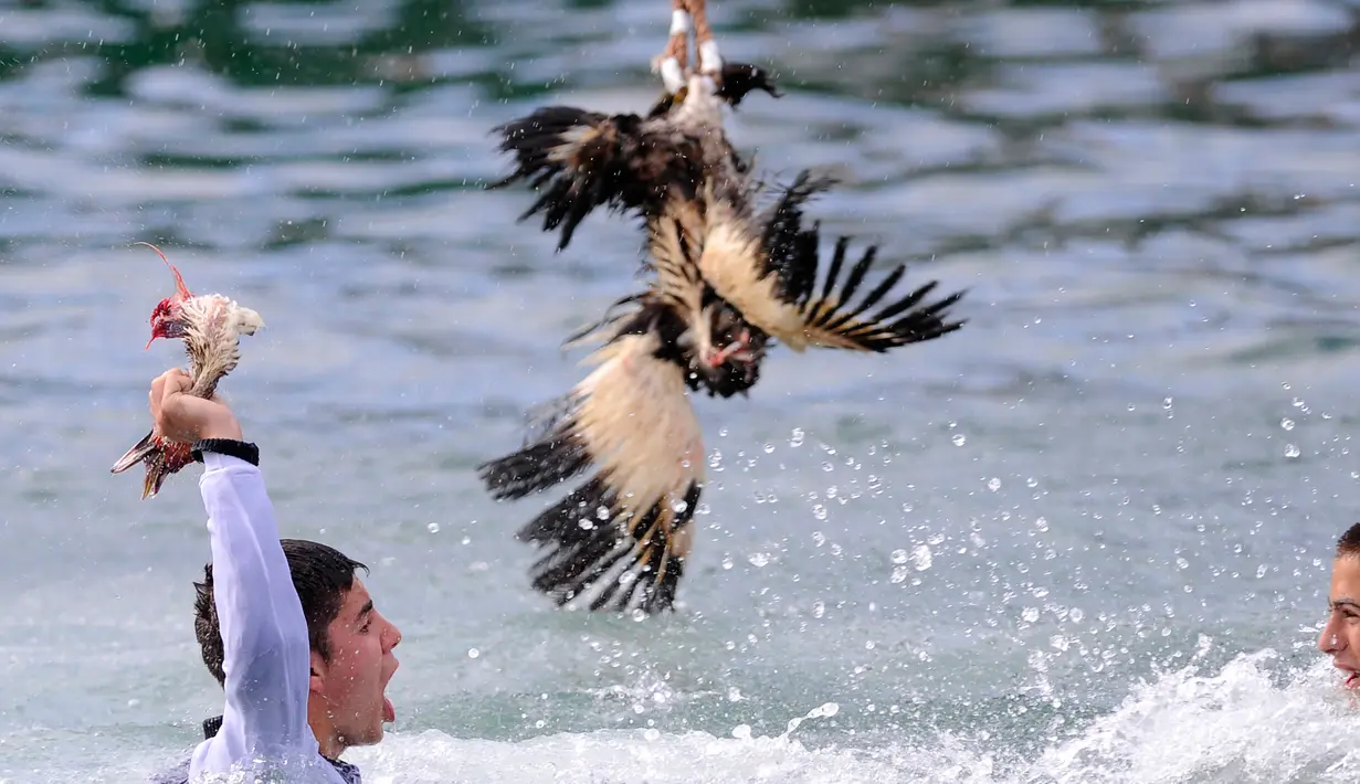 Seorang peserta menunjukan kepala angsa saat mengikuti perayaan "Antzar Eguna" (Hari Angsa) di pelabuhan desa Basque Lekeitio, Spanyol (5/9). Kompetisi ini juga menjadi ajang adu kejantanan untuk menarik hati para gadis. (AFP/Ander Gillenea)