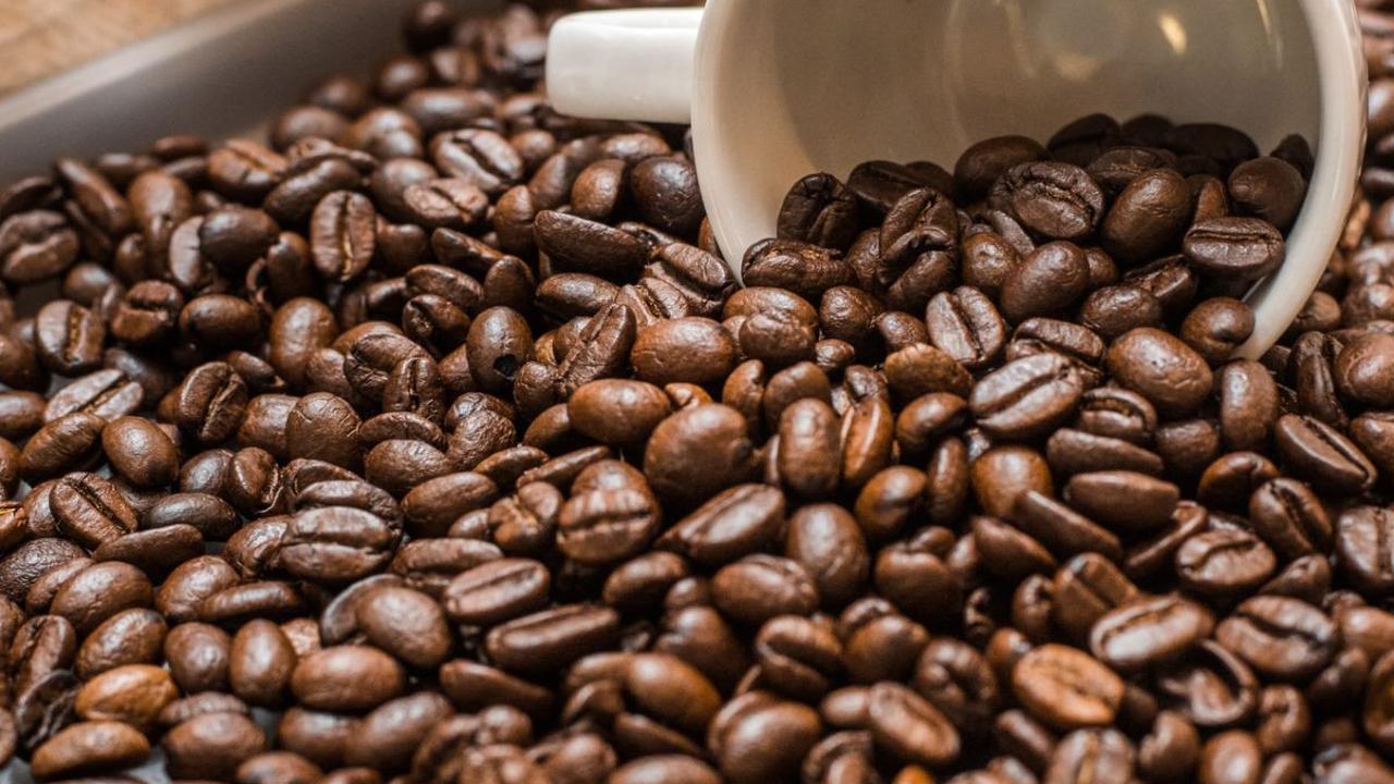 <b>Mengenal Kopi Robusta dan Arabika</b>