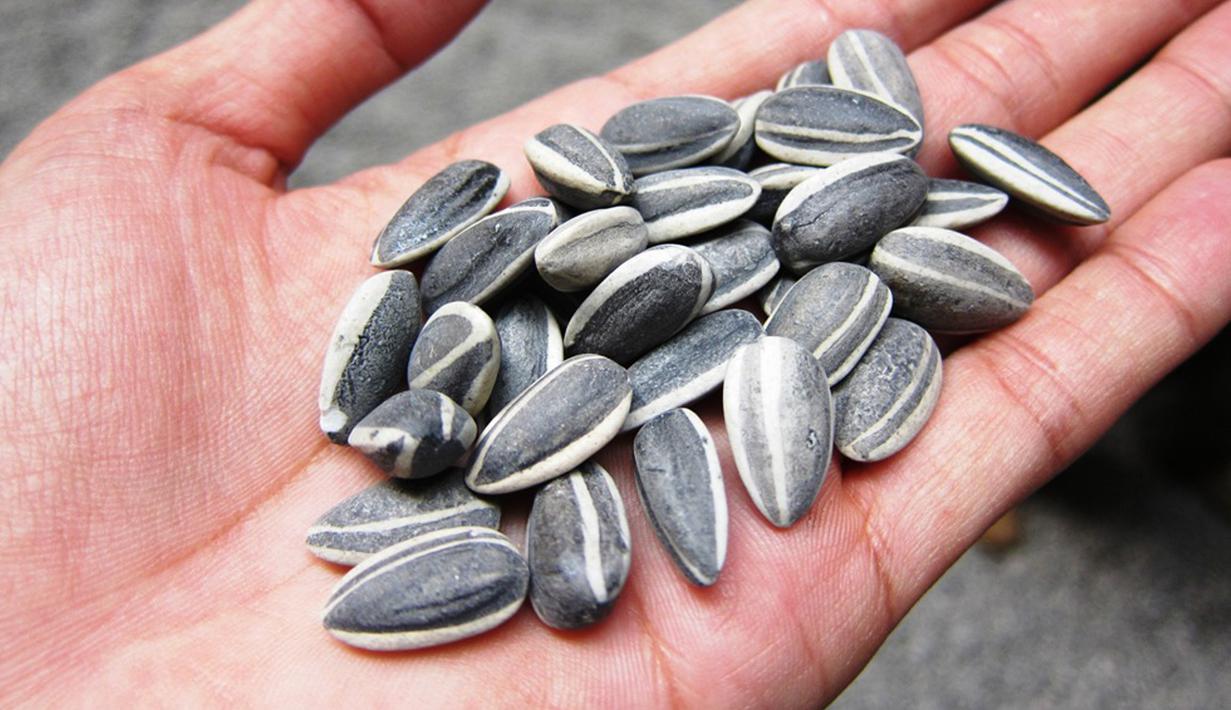 Camilan kaya vitamin E ini ternyata termasuk herbal yang efektif membersihkan organ hati. Biji bunga matahari, atau yang lazim disebut kuaci, juga bisa menyingkirkan racun berbahaya yang beredar di dalam tubuh. (istimewa)