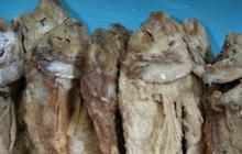 Bukan dengan Garam atau Rendaman Air Panas, Ini Cara Kurangi Rasa Asin pada Ikan Asin
