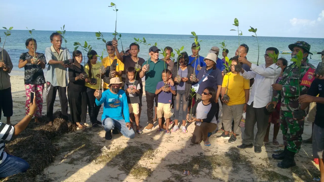 Usung Konsep Pentahelix, KKP Tanam Mangrove di NTT