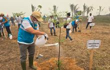 PLN IP Renewables Berperan Aktif Benahi Kawasan Pesisir PLTU Kalbar-1 di Bengkayang
