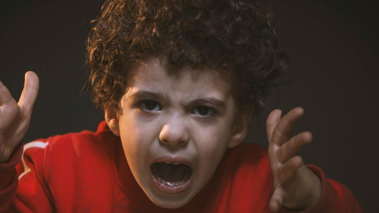 Jenis Perilaku Agresif pada Anak yang Perlu Dipahami Orangtua
