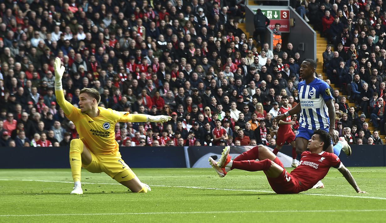 Gelandang Liverpool, Luis Diaz (kanan) mencetak gol penyeimbang 1-1 ke gawang Brighton and Hove Albion yang dikawal Bart Verbruggen pada laga pekan ke-30 Premier League 2023/2024 di Anfield Stadium, Liverpool, Minggu (31/3/2024). (AP Photo/Rui Viera)
