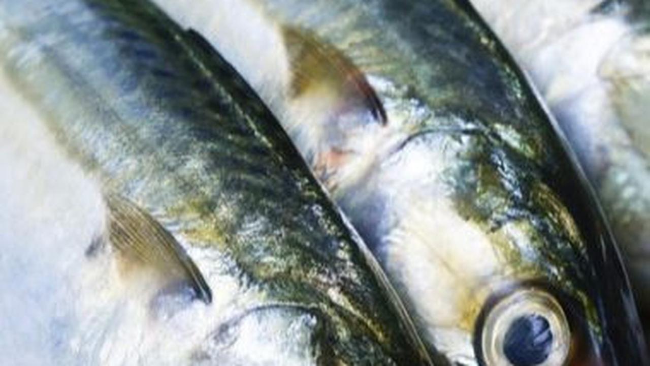 5. Ikan: Protein dan Omega-3 untuk Kesehatan Jantung