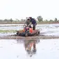 Menteri Pertanian Syahrul Yasin Limpo.