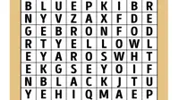 Kata Warna yang Kamu Lihat Pertama Kali, Ungkap Siapa Kamu Sebenarnya