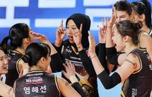 Hasil Korean V-League 2024/2025: Pink Spiders Patahkan Rekor Kemenangan Beruntun Daejeon Red Sparks