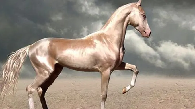 Photo: Copyright boredpanda.com