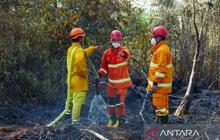 BPBD Kaltim Susun Regulasi Karhutla, Perkuat Tata Kelola Lingkungan Berbasis Perda Baru