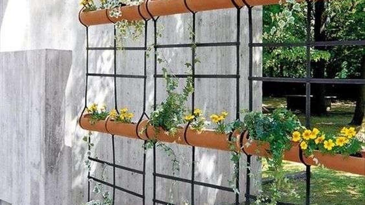 Desain Vertical Garden Minimalis