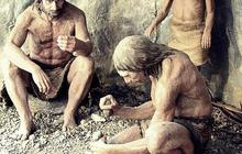 Benarkah Neanderthal Adalah Leluhur Kita? Ketahui Perbedaannya dengan Homo Sapiens
