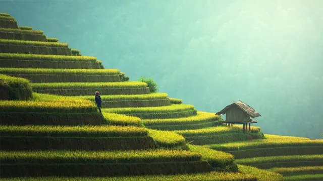 Gambar oleh Sasin Tipchai dari Pixabay