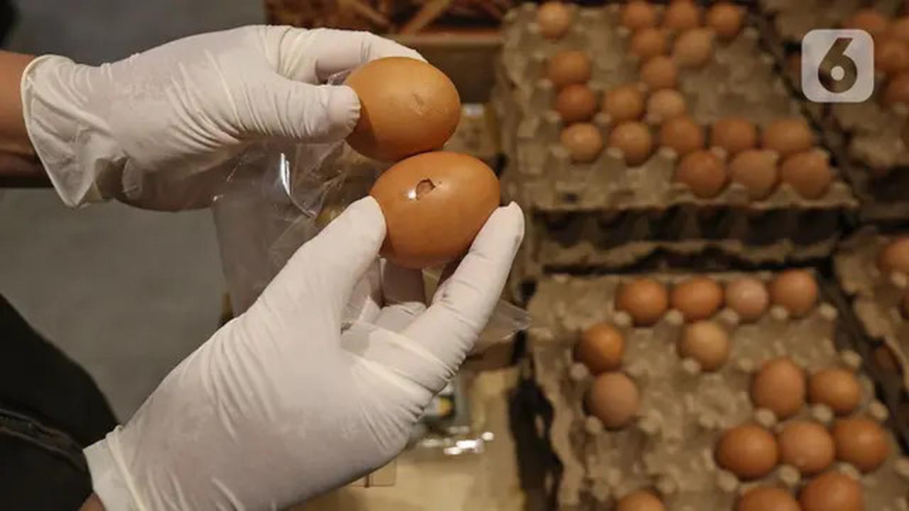 5 Metode Mengonsumsi Telur yang Sehat dan Aman, Tanpa Meningkatkan Kolesterol