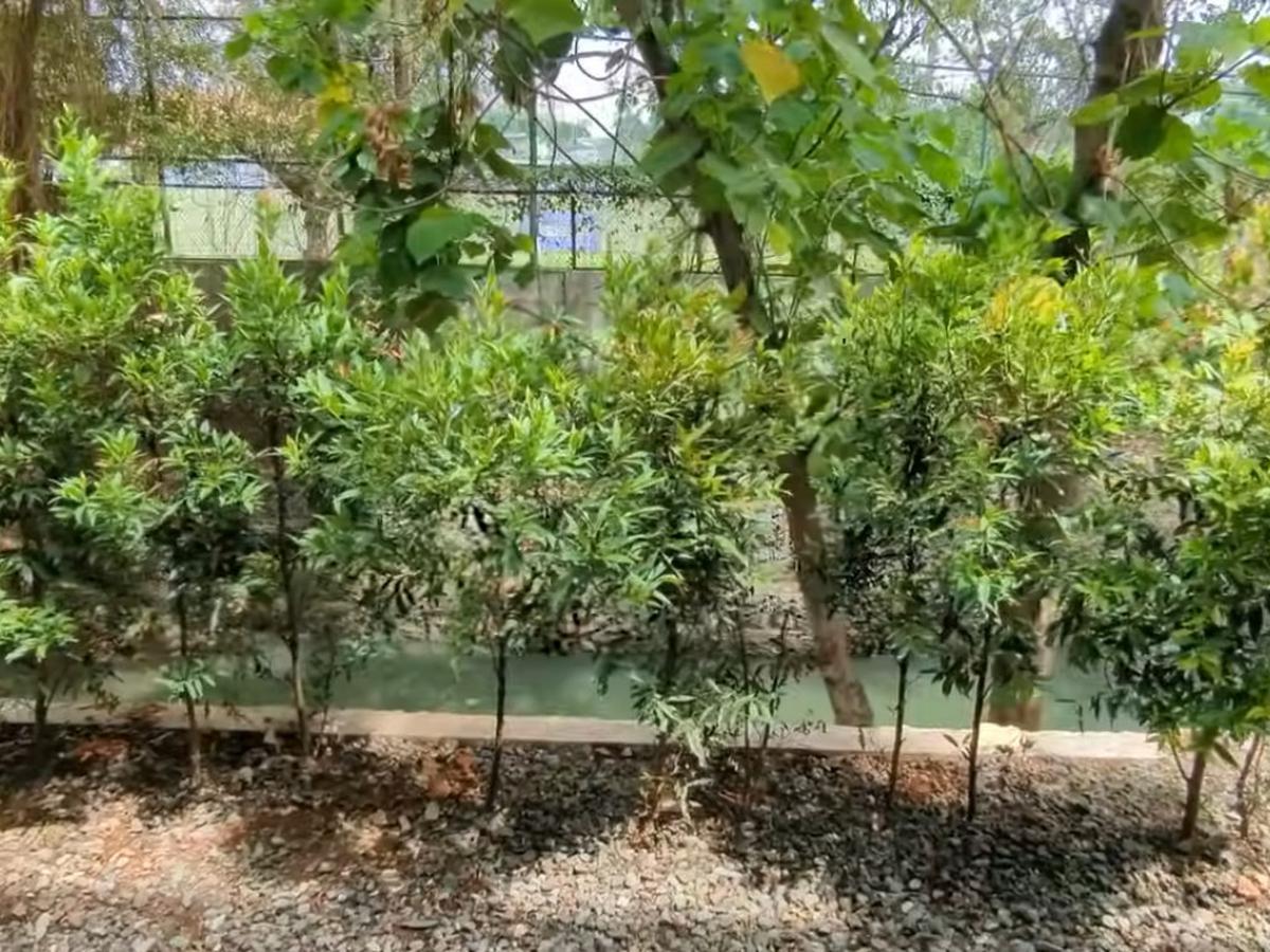 Uniknya, rumah Tompi ini menghadap ke sebuah kali. Sehingga dari rumahnya, Tompi bisa melihat kali.<br>