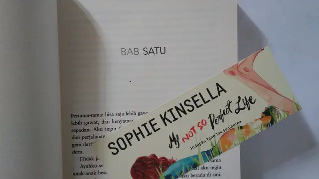 my not so perfect life 2