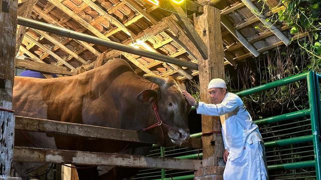 Presenter Irfan Hakim Kembali Berkurban di Hari Raya Idul Adha 2023. Seperti Tahun-Tahun Sebelumnya, Idul Adha Kali Ini Irfan Tidak Absen Memperkenalkan Sapi Kurban Terbaru yang Diberi Nama Wariso. [Instagram/irfanhakim75]
