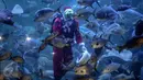  Penyelam mengenakan kostum Santa Claus memberikan makanan kepada kumpulan ikan di aquarium besar Sea World, Taman Impian Jaya Ancol, Jakarta, Minggu (25/12). (Liputan6.com/Faizal Fanani)