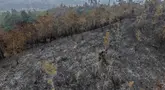 Foto udara ini memperlihatkan lahan yang terdampak kebakaran hutan di Kapuas Hulu, Kalimantan Barat, Jumat, 4 September 2026. (AFP/ Bay Ismoyo)