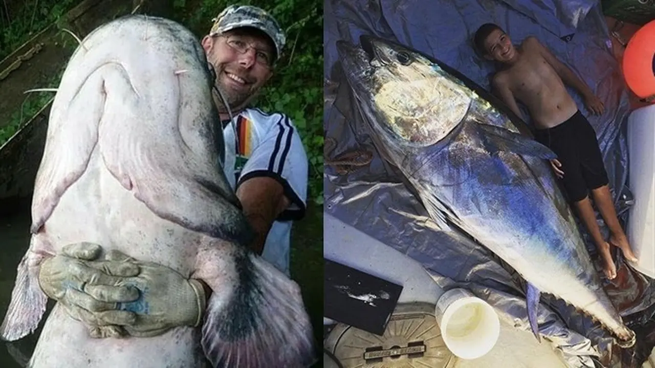 6 Potret Pemancing Dapat Ikan Lebih Besar dari Tubuhnya Ini Bikin Melongo