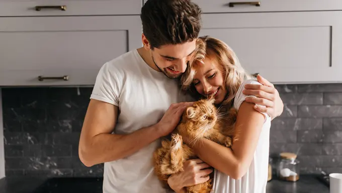 couple november kompak hewan