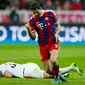 Penyerang Bayern Muenchen, Robert Lewandowski merayakan selebrasi usai mencetak gol pada leg kedua 16 besar Liga Champions di Allianz Arena, German (11/3/15). Bayern Munich Menang 7-0 atas Shakhtar Donetsk. (Reuters/Michaela Rehle)