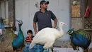 Seorang pedagang Irak menjual burung merak di pasar hewan peliharaan al-Ghazal di ibukota Irak, Baghdad (11/10/2019). Pasar hewan peliharaan yang berada di kota Baghdad ini telah ada sejak tahun 1950-an. (AFP Photo/Ahmad Al-Rubaye)