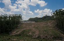 Buat Jalan Provinsi, Segini Ganti Rugi Lahan Warga di IKN Bikin Melongo
