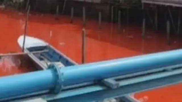 [VIDEO] Sungai Jembatan Merah Bontang Berubah Warna Bikin Heboh