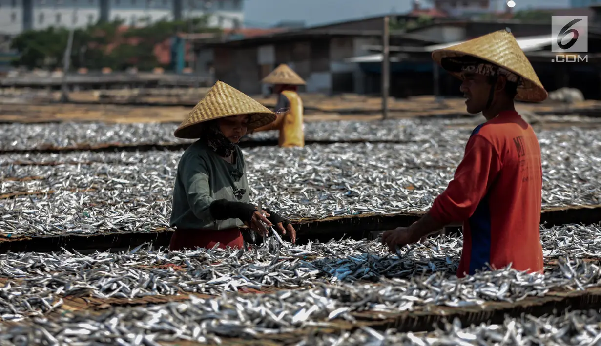 Para pekerja menjemur ikan saat proses pengasinan di kawasan Muara Angke, Jakarta, Senin (26/11). Nelayan mengaku produksi ikan asin mengalami penurunan, disebabkan terhambatnya proses pengeringan di musim hujan. (Liputan6.com/Faizal Fanani)