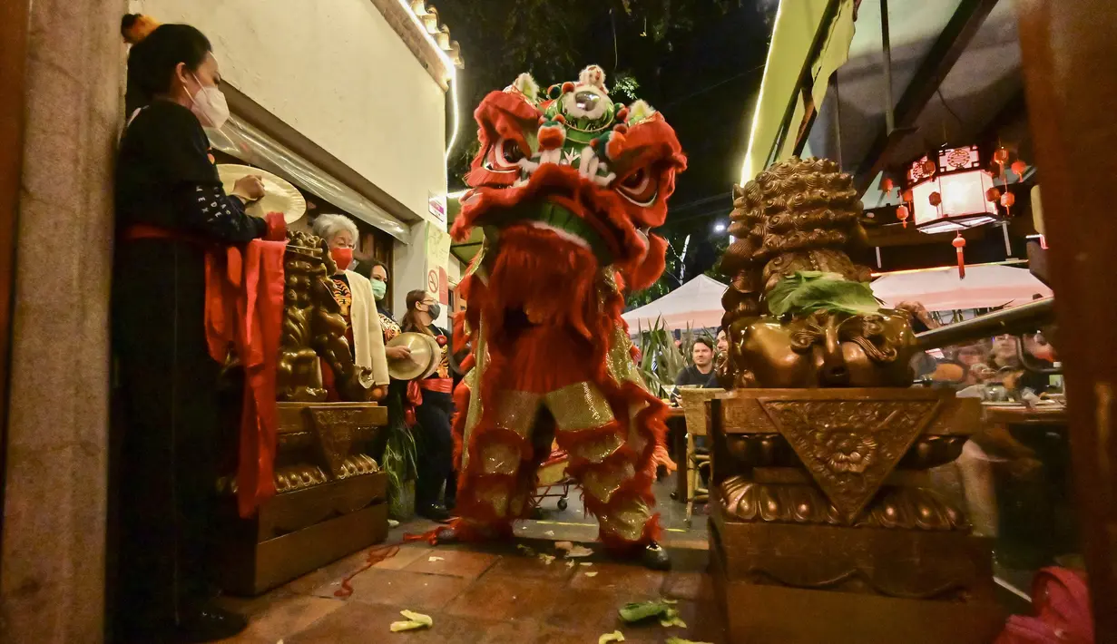 Anggota komunitas Tionghoa di Meksiko menampilkan tarian singa tradisional (barongsai) di sebuah restoran Tiongkok menyambut Tahun Baru Imlek di Mexico City, pada 31 Januari 2022. Tahun Baru Imlek 2022 menandai dimulainya tahun Shio Macan Air. (PEDRO PARDO / AFP)