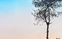 15 Tempat Wisata Majalengka yang Wajib Dikunjungi, Tawarkan Pesona Memukau dan Aktivitas Seru