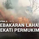 Api Dekati Permukiman, Kebakaran Lahan Gambut Bikin Warga Kalang Kabut
