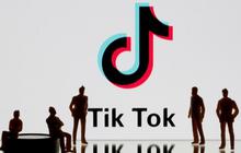 Nama TikTok Indonesia Lucu, Gampang Diingat dan Bikin FYP
