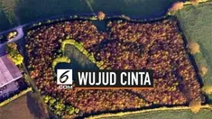 Seorang suami tanam 6 ribu pohon oak untuk mengenang dan menghormati mendiang istrinya.