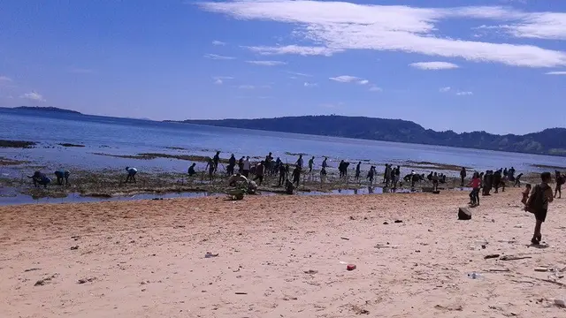 Tanam Bakau