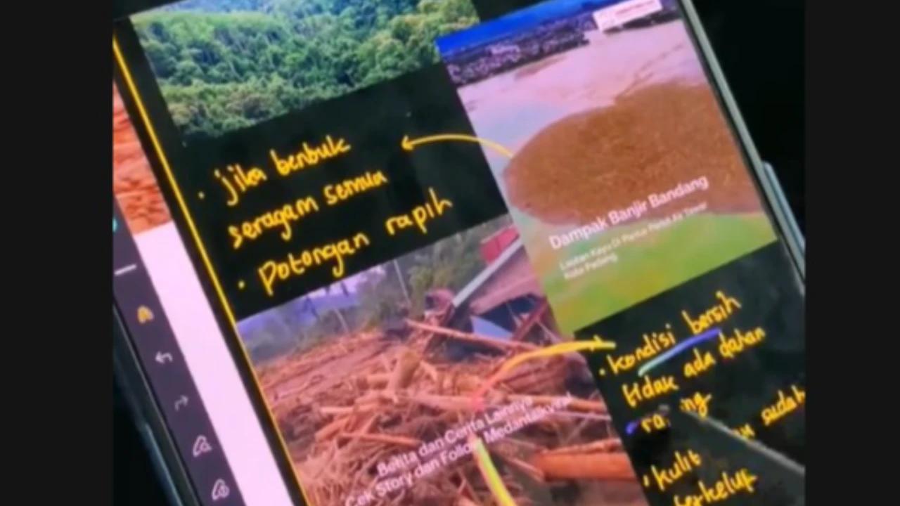 Alif Jebolan ITB Kupas Tuntas Pernyataan Kemenhut Soal Kayu Hanyut dengan Rumus Matematika