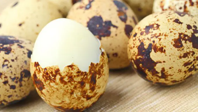 Copyright: thinkstockphotos.com